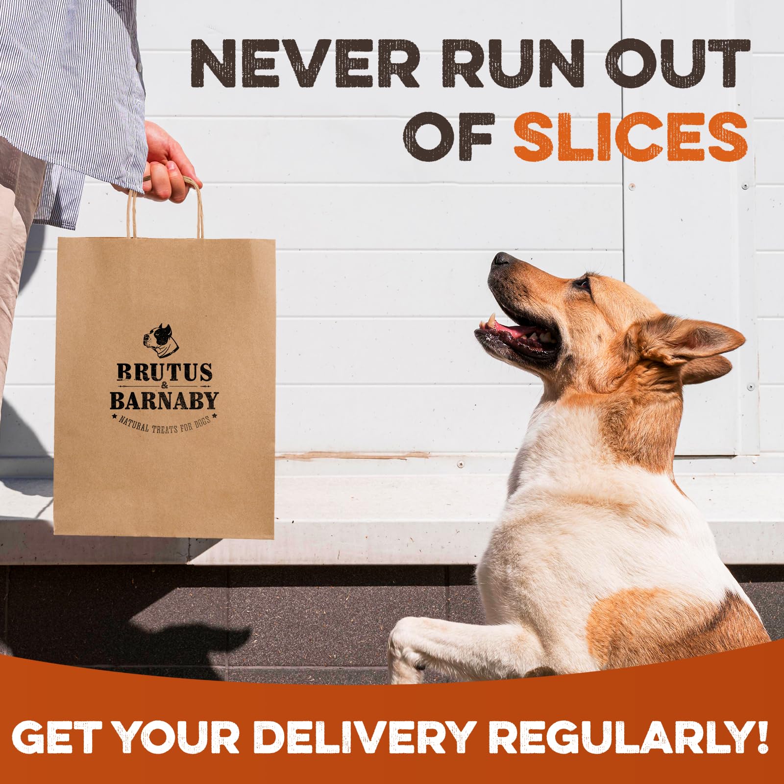 BRUTUS & BARNABY tranches en scène domestique snack sain chien