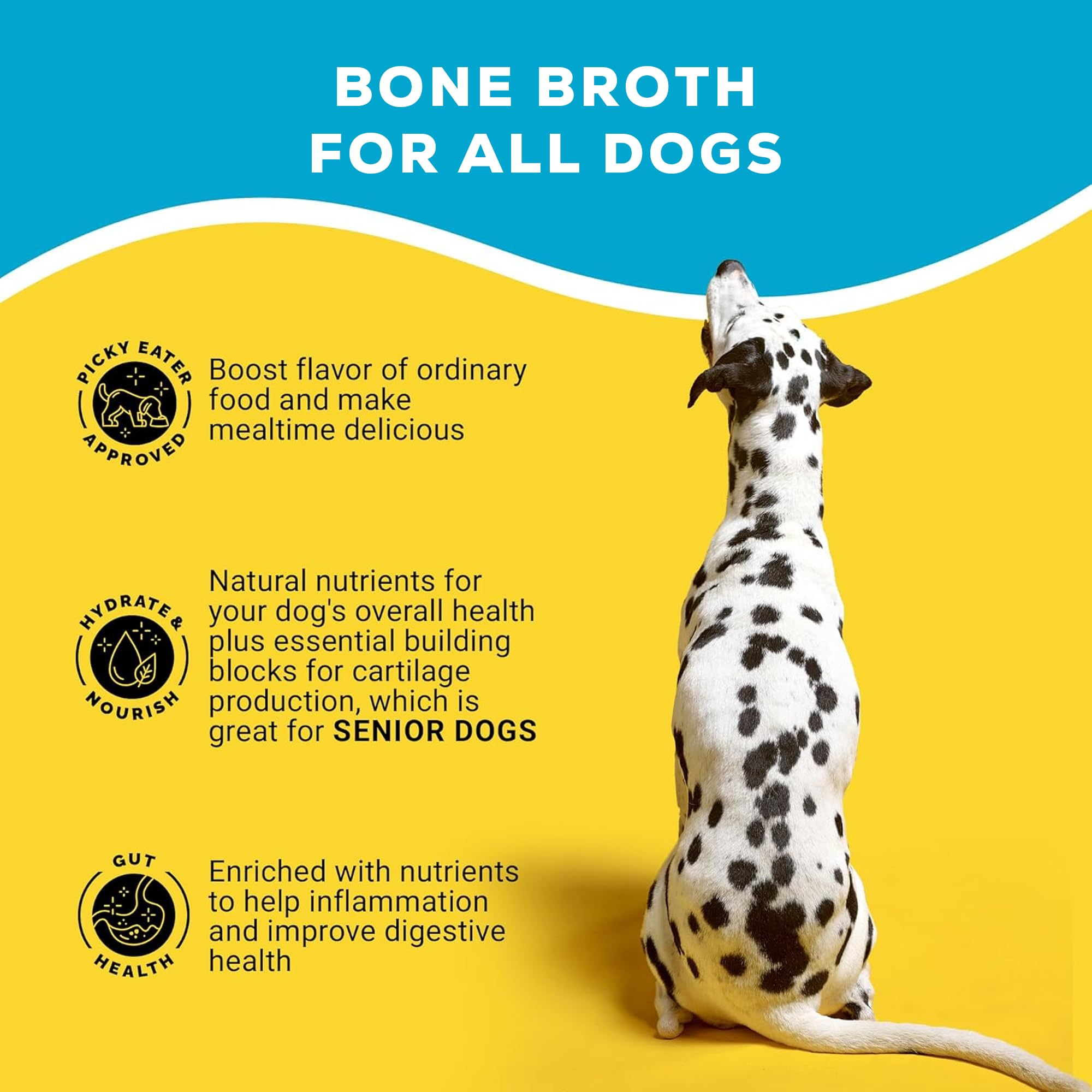 Brutus Bone Broth stick dans sac à dos illustrant utilisation en voyage