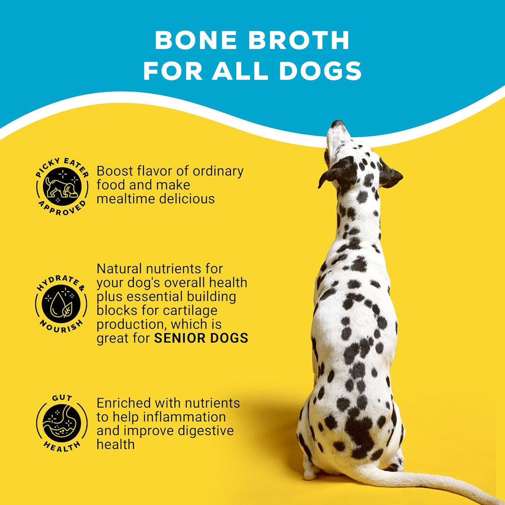 Brutus Bone Broth stick dans sac à dos illustrant utilisation en voyage