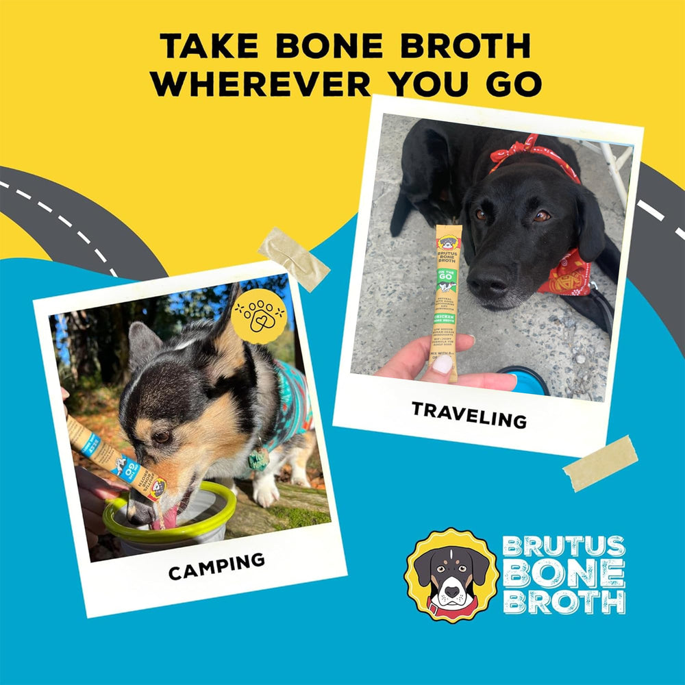Brutus Bone Broth versé sur croquettes pour meilleure appétence