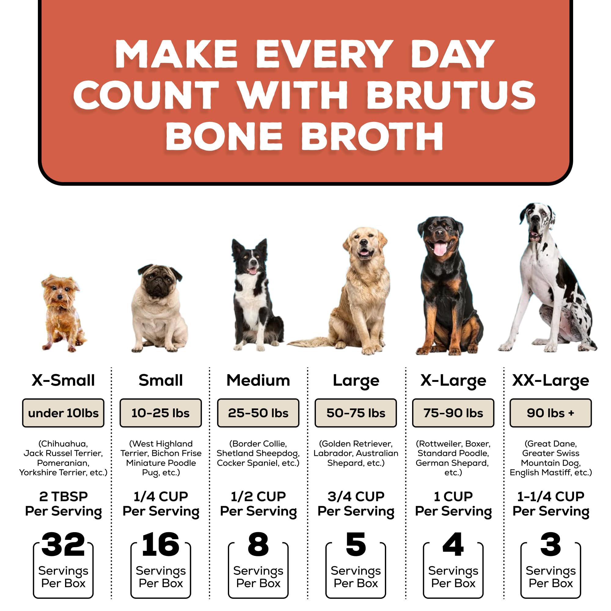 Brutus bouillon poulet en cuisine lifestyle montrant préparation facile