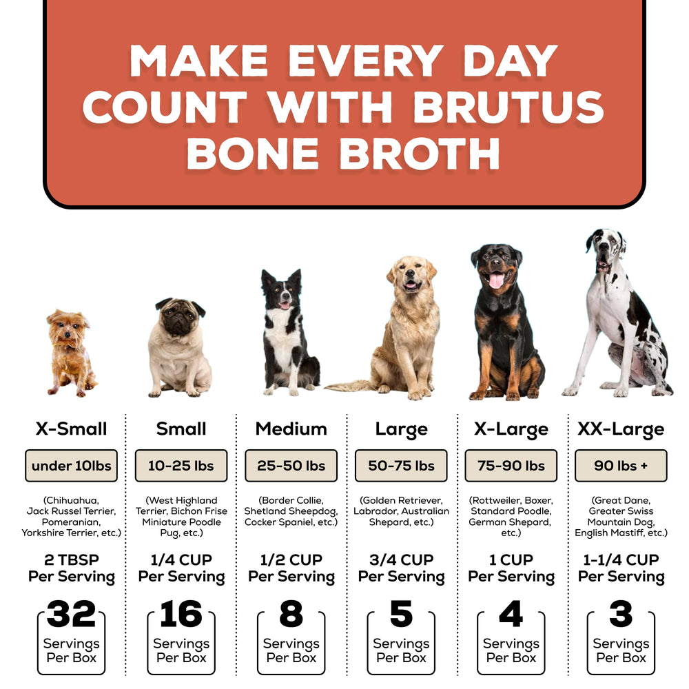 Brutus bouillon poulet en cuisine lifestyle montrant préparation facile