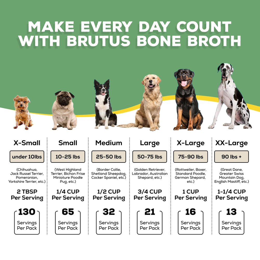 brutus broth bouillon dans cuve prêt à servir pour hydratation repas