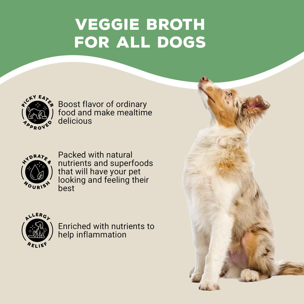 brutus broth et chiot debout saveur légumes favorisant acceptation
