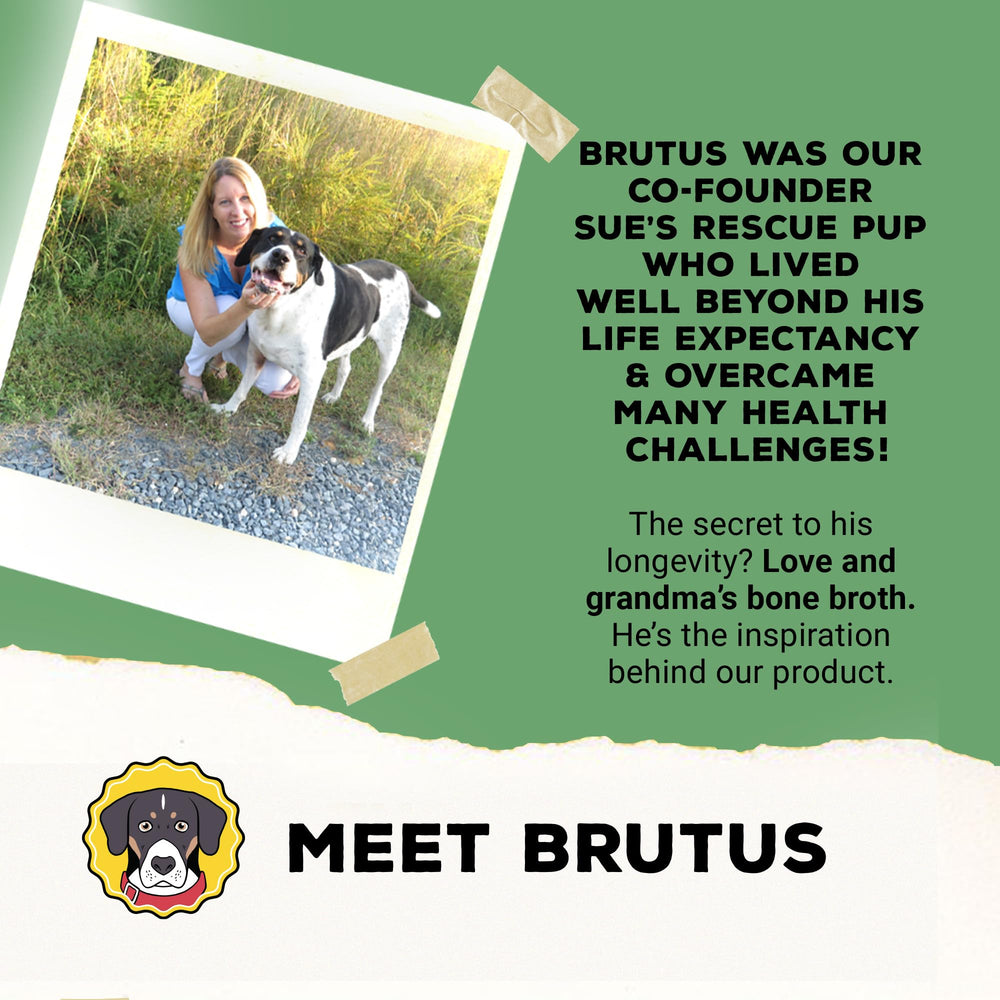 brutus broth et senior assiette facilité de mastication et digestion