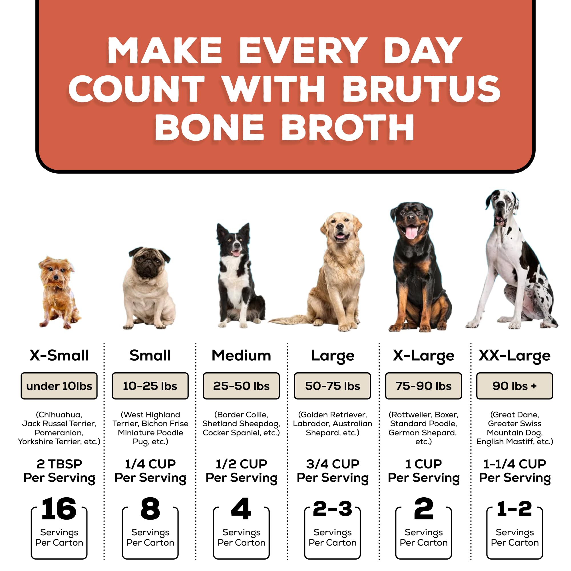 Brutus Bone Broth comparaison de taille avec une main pour évaluer le format bouteille