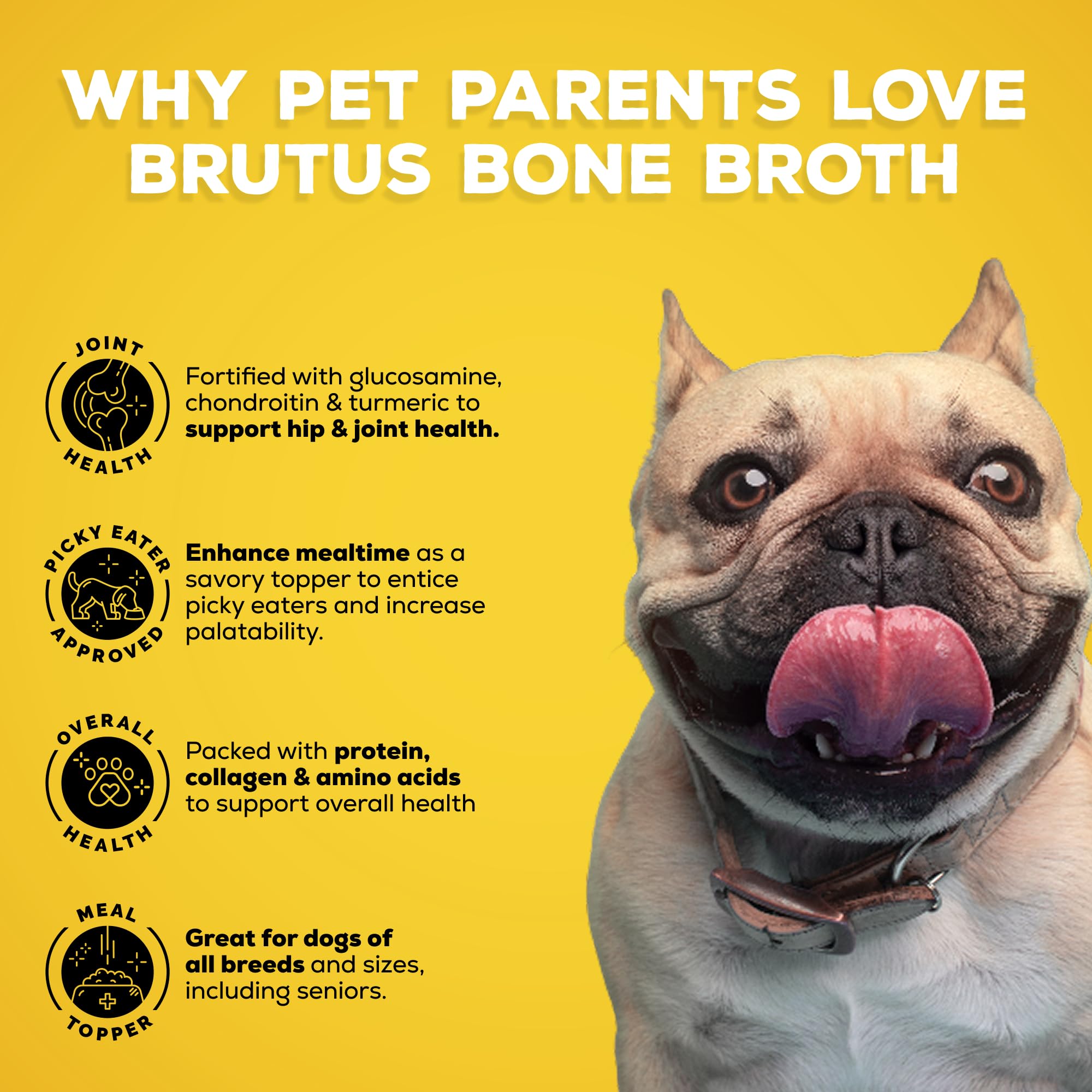 Brutus Bone Broth versé sur croquettes pour améliorer l'appétence et l'hydratation