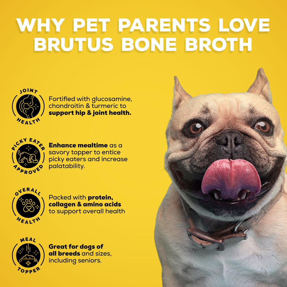 Brutus Bone Broth versé sur croquettes pour améliorer l'appétence et l'hydratation