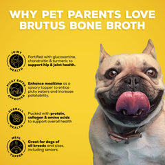Brutus Bone Broth versé sur croquettes pour améliorer l'appétence et l'hydratation