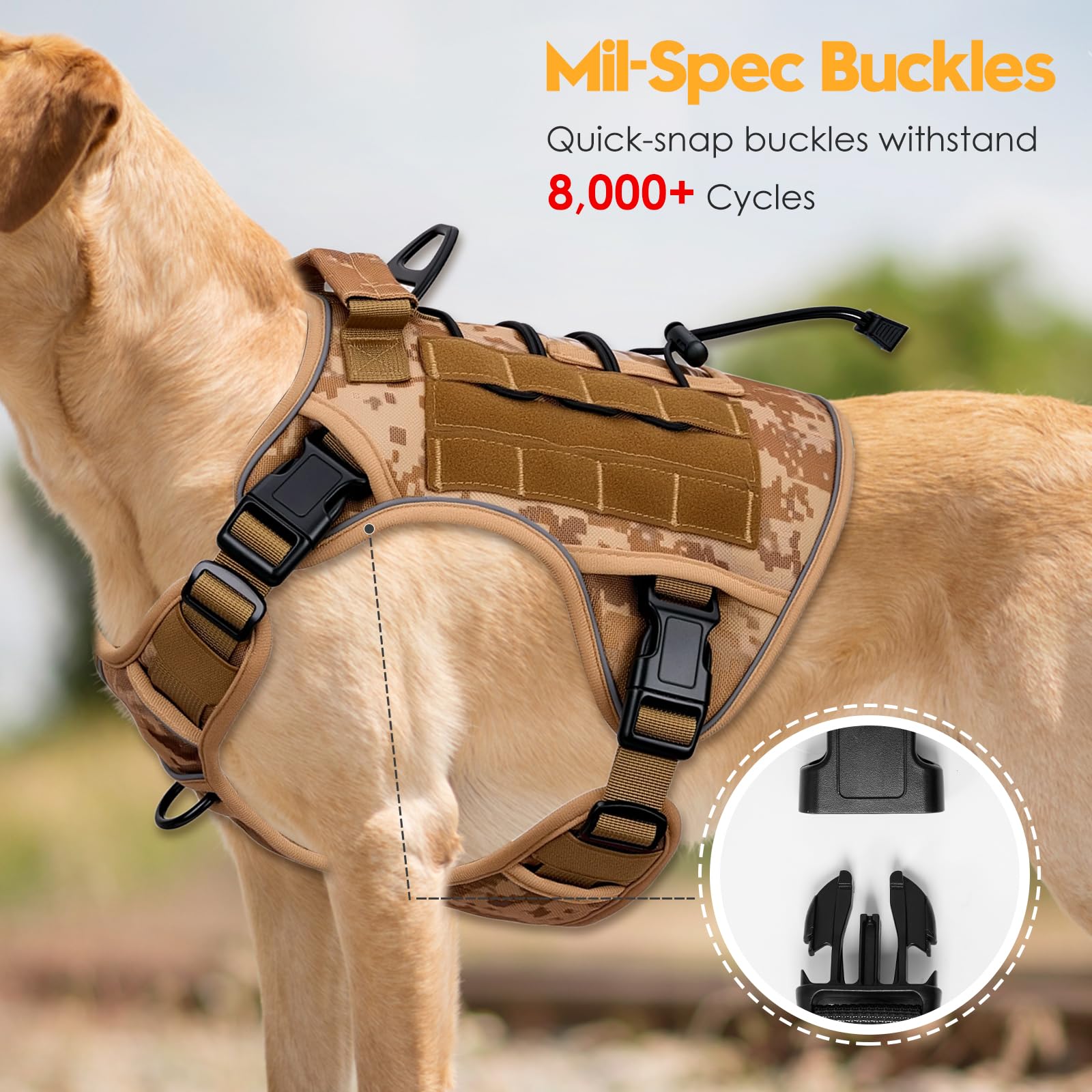 Bruvoalon gros plan système MOLLE pour ajouter pochettes et accessoires pratiques