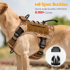 Bruvoalon gros plan système MOLLE pour ajouter pochettes et accessoires pratiques