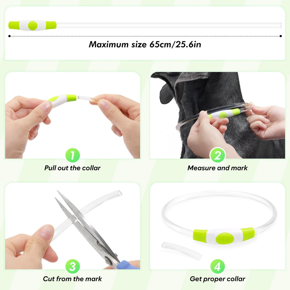 BSEEN collier en usage sur chien améliorant sécurité nocturne