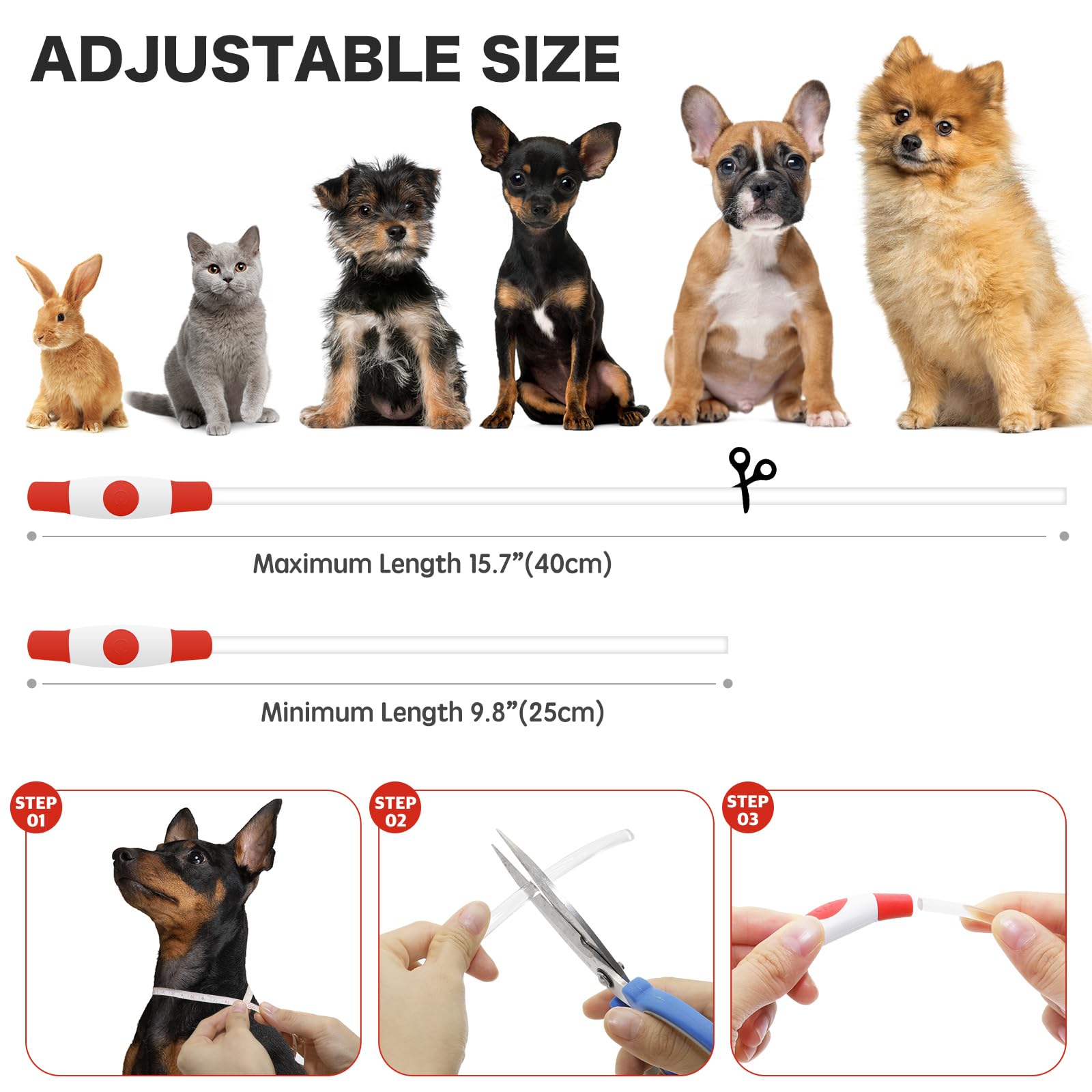 BSEEN collier porté par un petit chien pour sécurité durant promenade