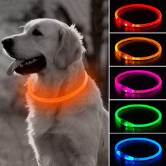 BSEEN collier LED face avant visible pour sécurité accrue