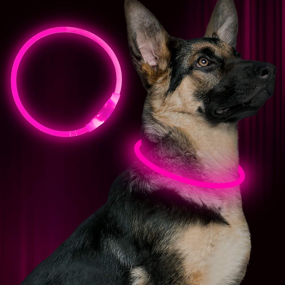 BSEEN collier LED face avant montrant la bande lumineuse pour meilleure visibilité