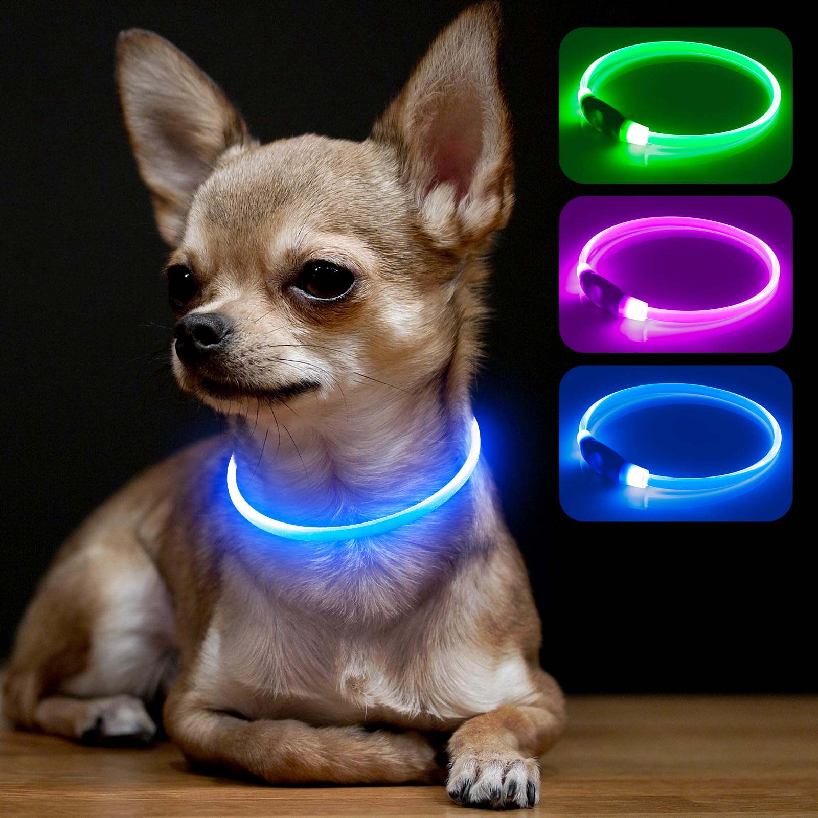 BSEEN collier LED face avant montrant visibilité accrue pour promenades sûres