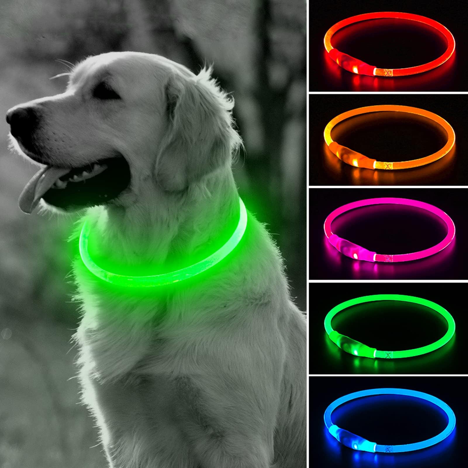 BSEEN collier lumineux recto montrant visibilité accrue