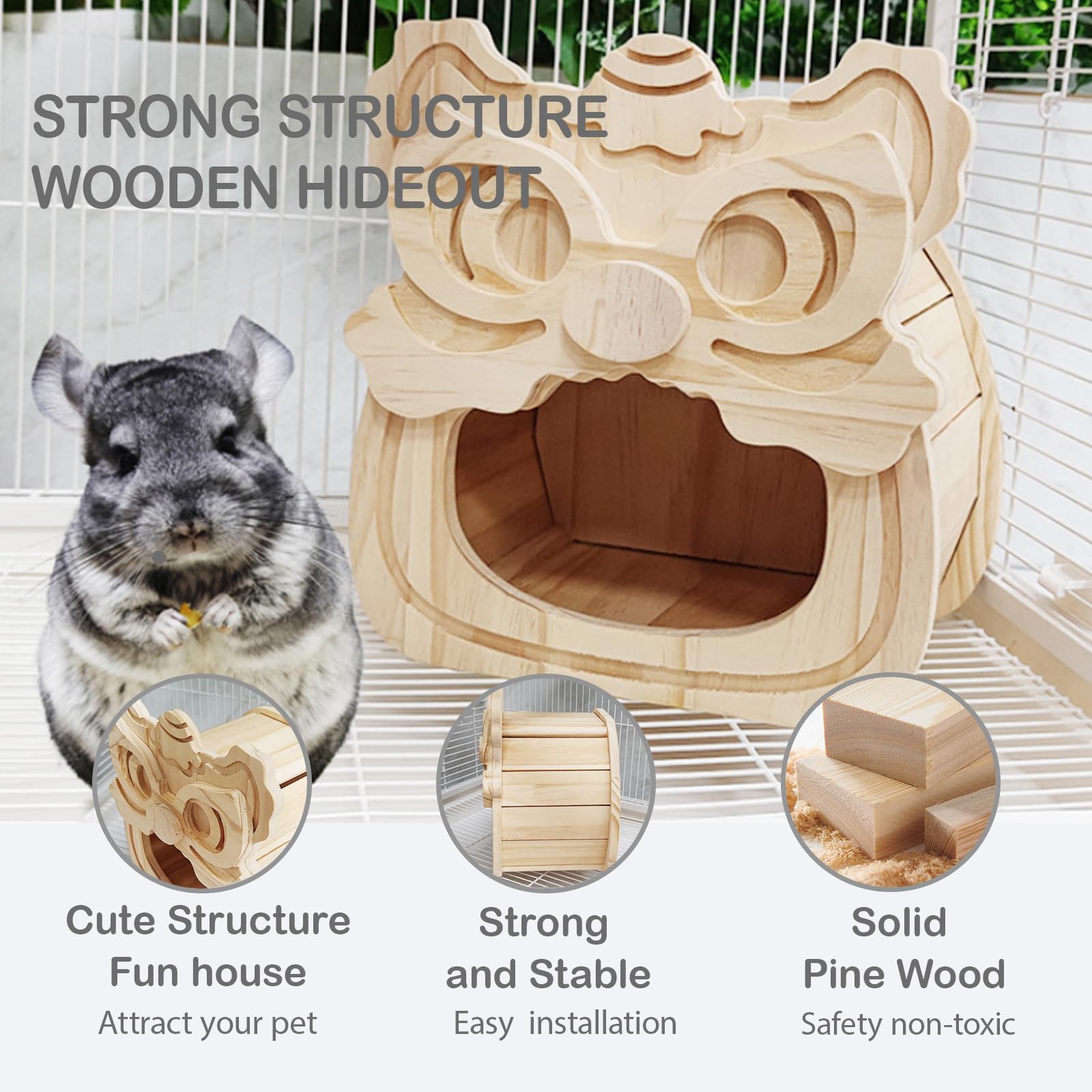 BShasrlim maison en usage avec chinchilla favorisant comportement naturel