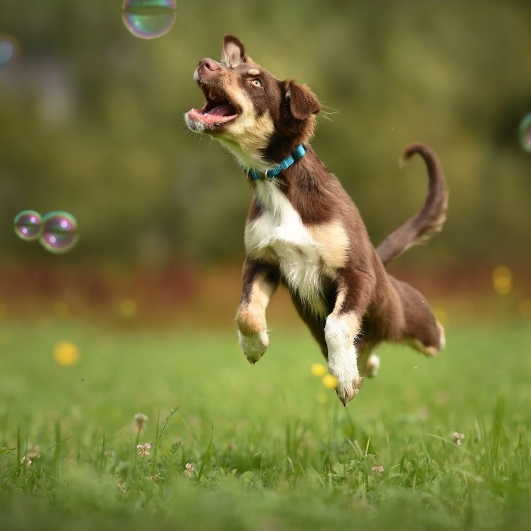 Bubbletastic détail étiquette, information sécurité et parfum