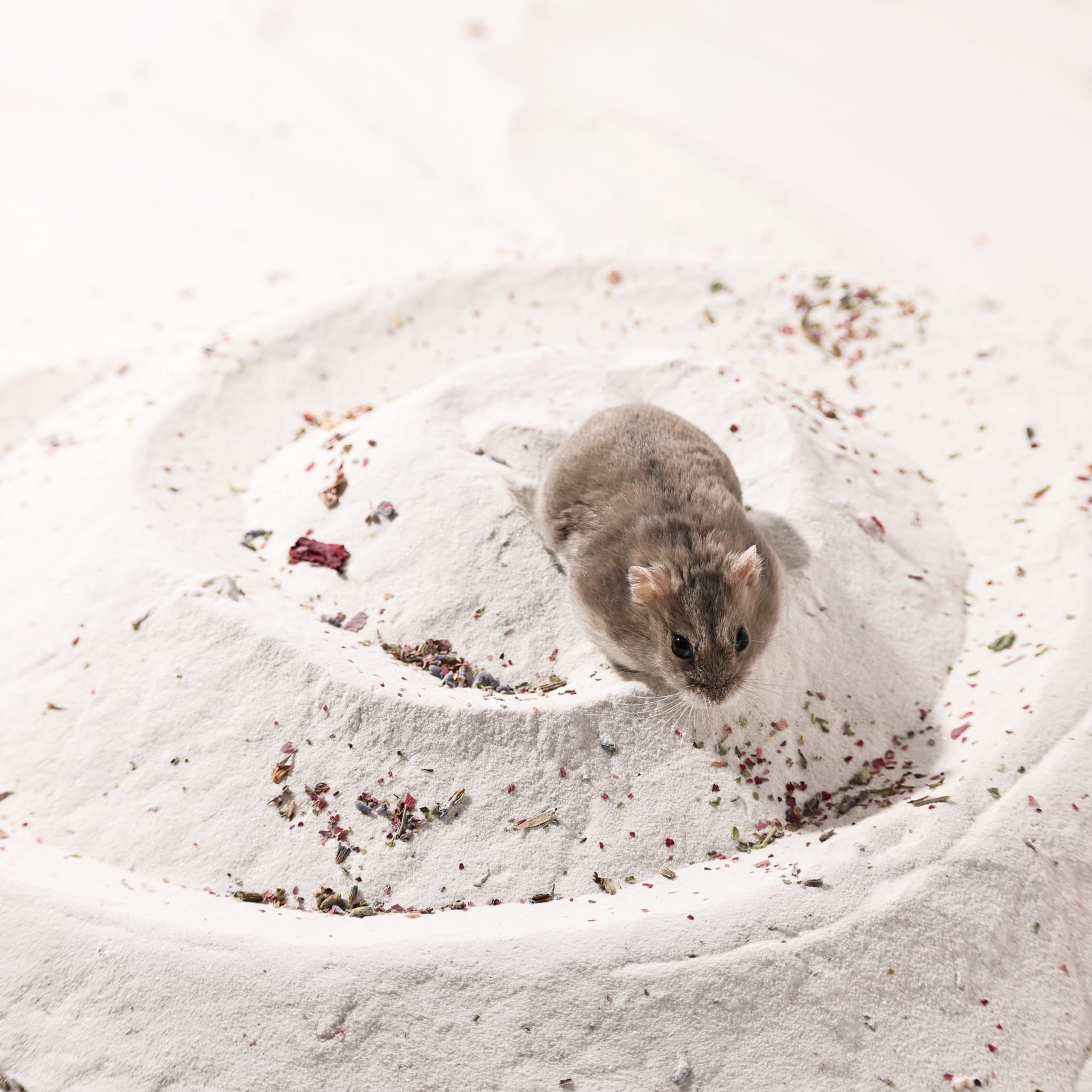 BUCATSTATE hamster dans bac de bain avec sable, nettoyage efficace et doux
