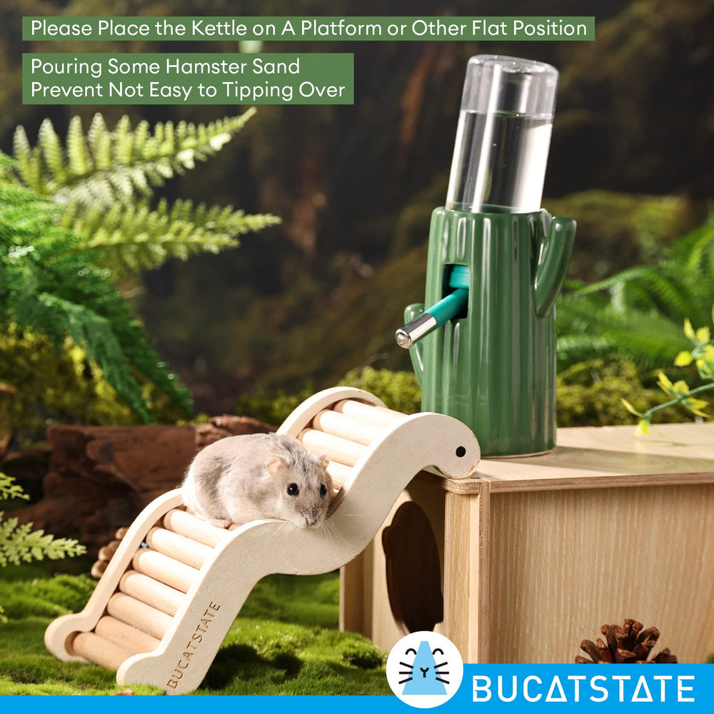 BUCATSTATE vue latérale du cactus, design décoratif et ergonomique