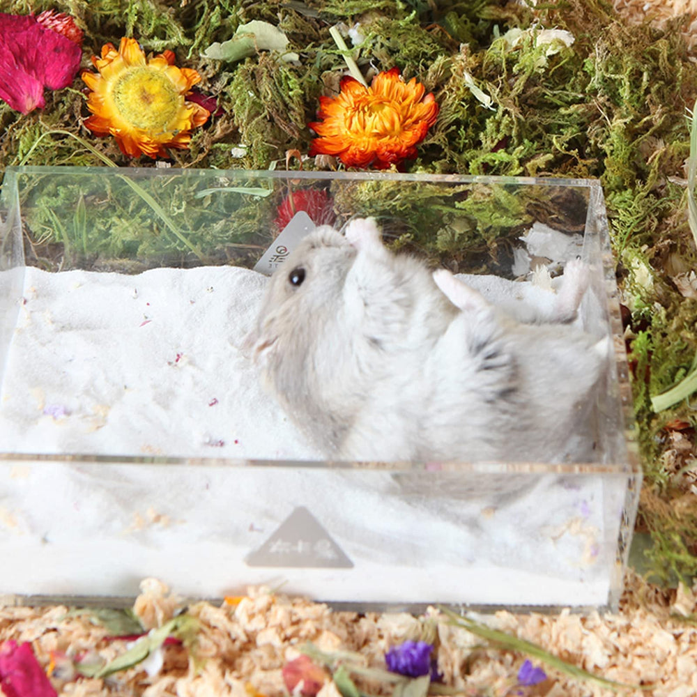 BUCATSTATE hamster qui se roule indiquant plaisir et nettoyage
