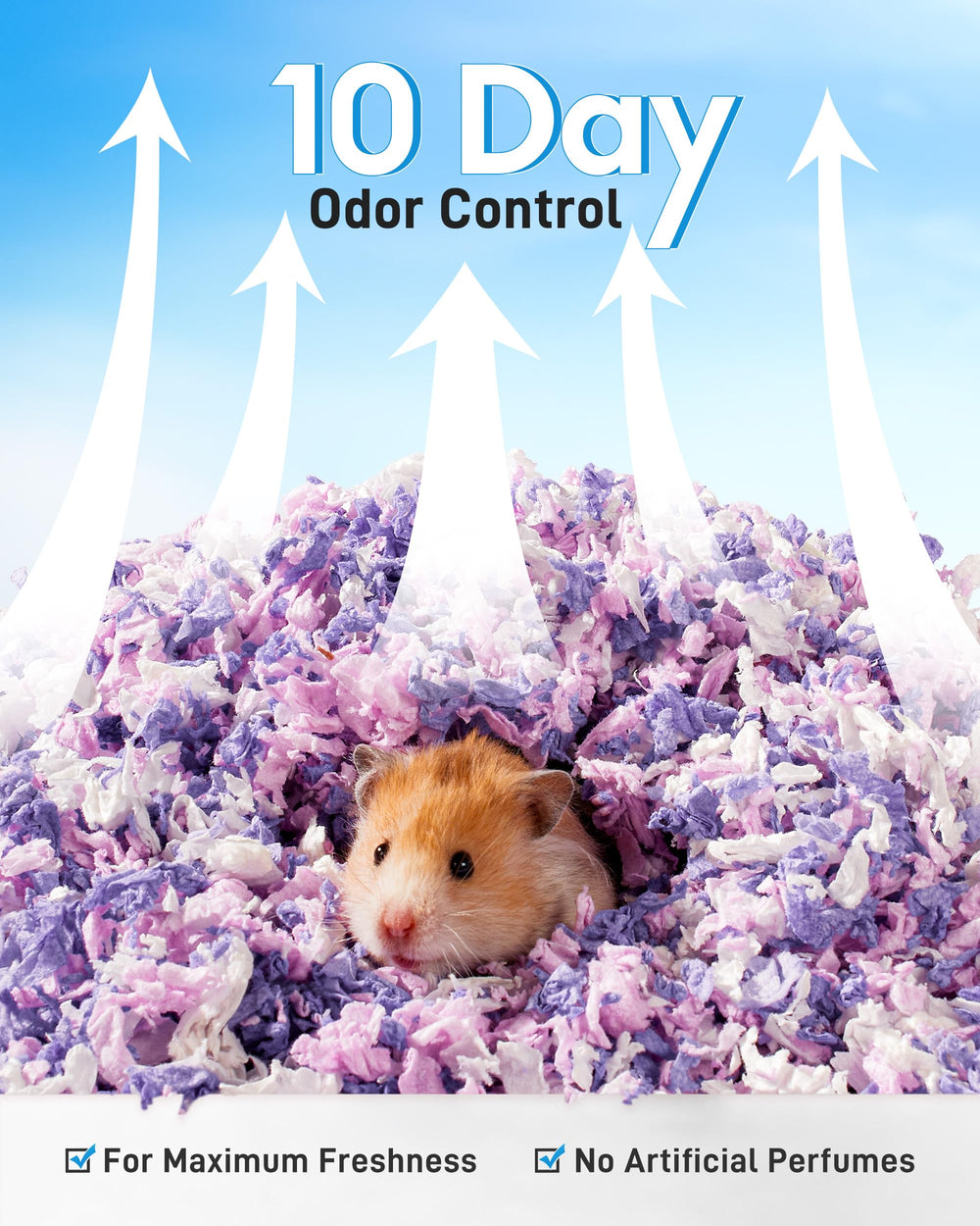 BUCATSTATE mise en situation hamster nichant dans la litière, confort et sécurité