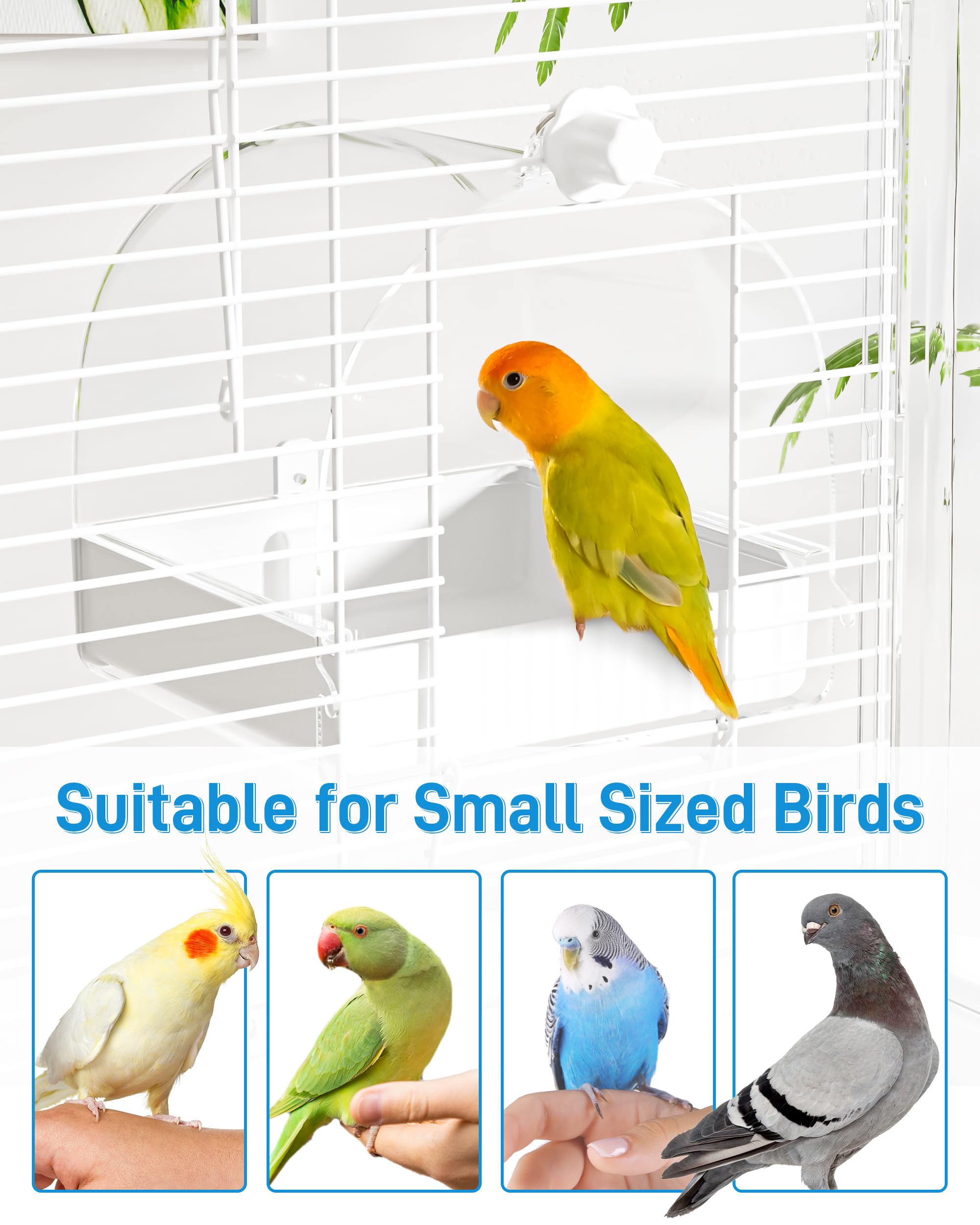 BUCATSTATE oiseau se baignant, confort et hygiène améliorés