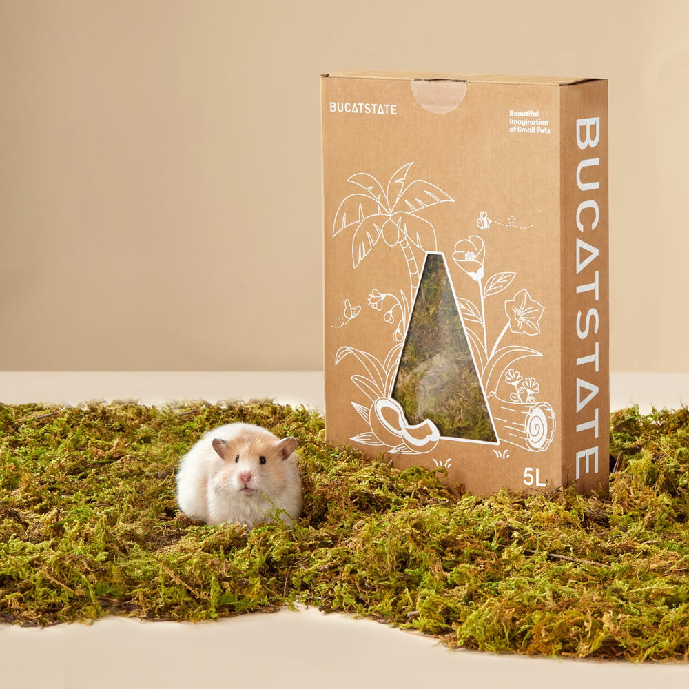 BUCATSTATE paquet 5L litière mousse forêt, rangement pratique et naturel
