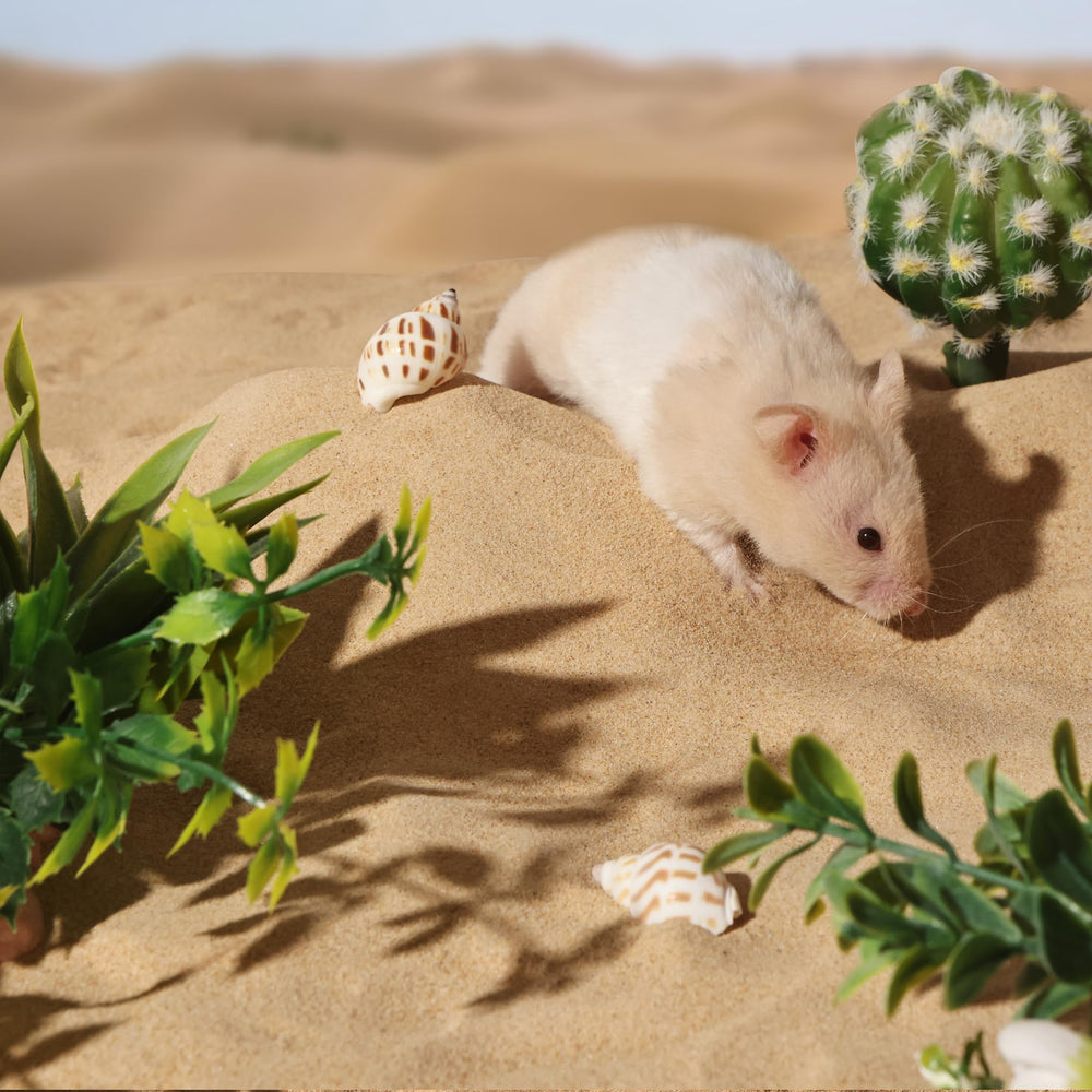 BUCATSTATE sable versé dans un contenant adapté pour bain sécurisé