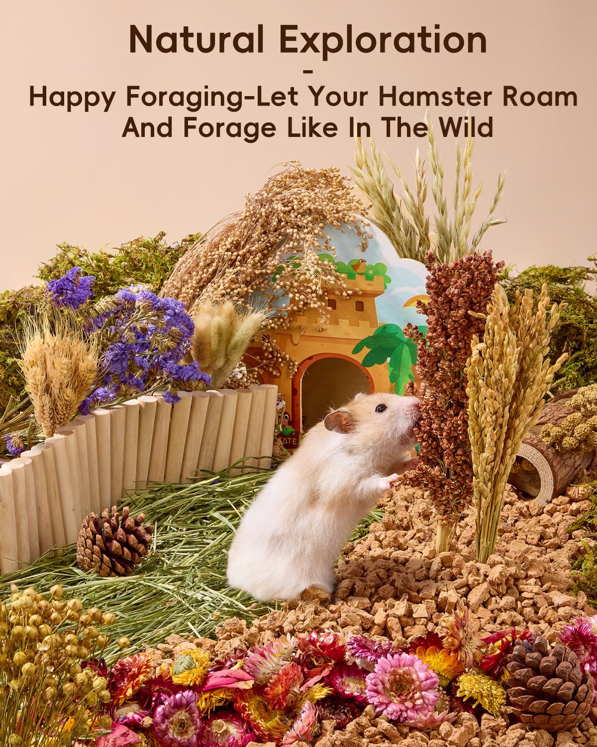 BUCATSTATE litière utilisée dans une cage stimulant exploration du hamster