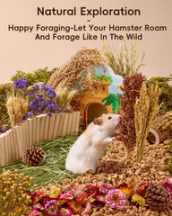 BUCATSTATE litière utilisée dans une cage stimulant exploration du hamster