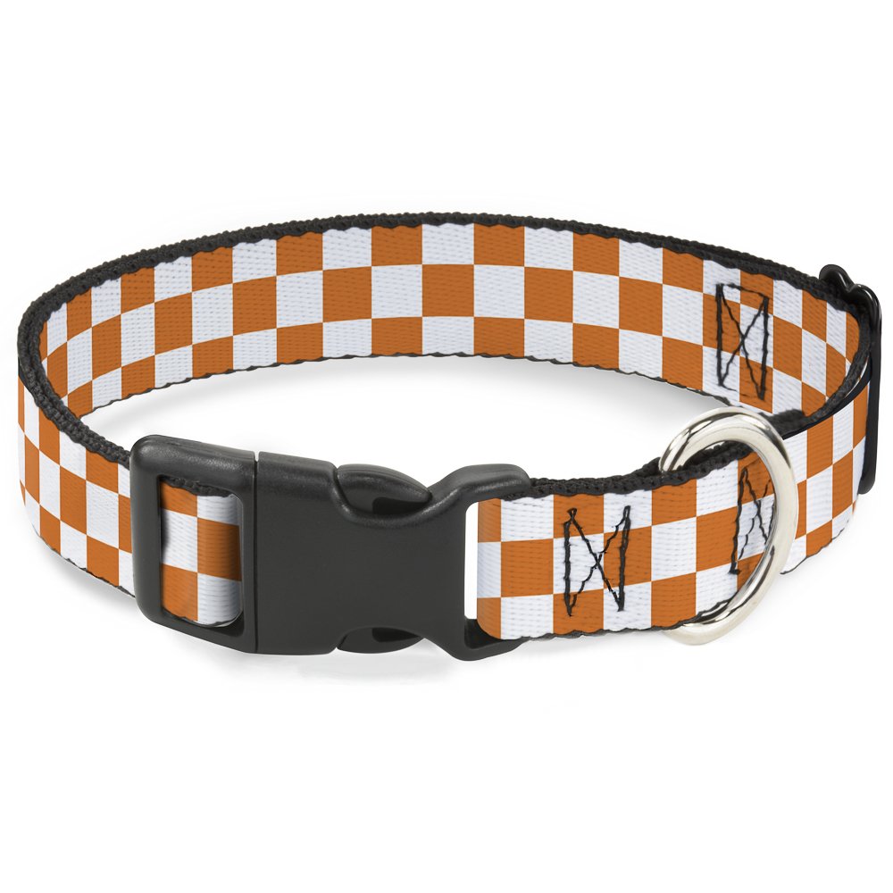 Buckle-Down collier vue de face montrant design éclatant et maintien sécurisé