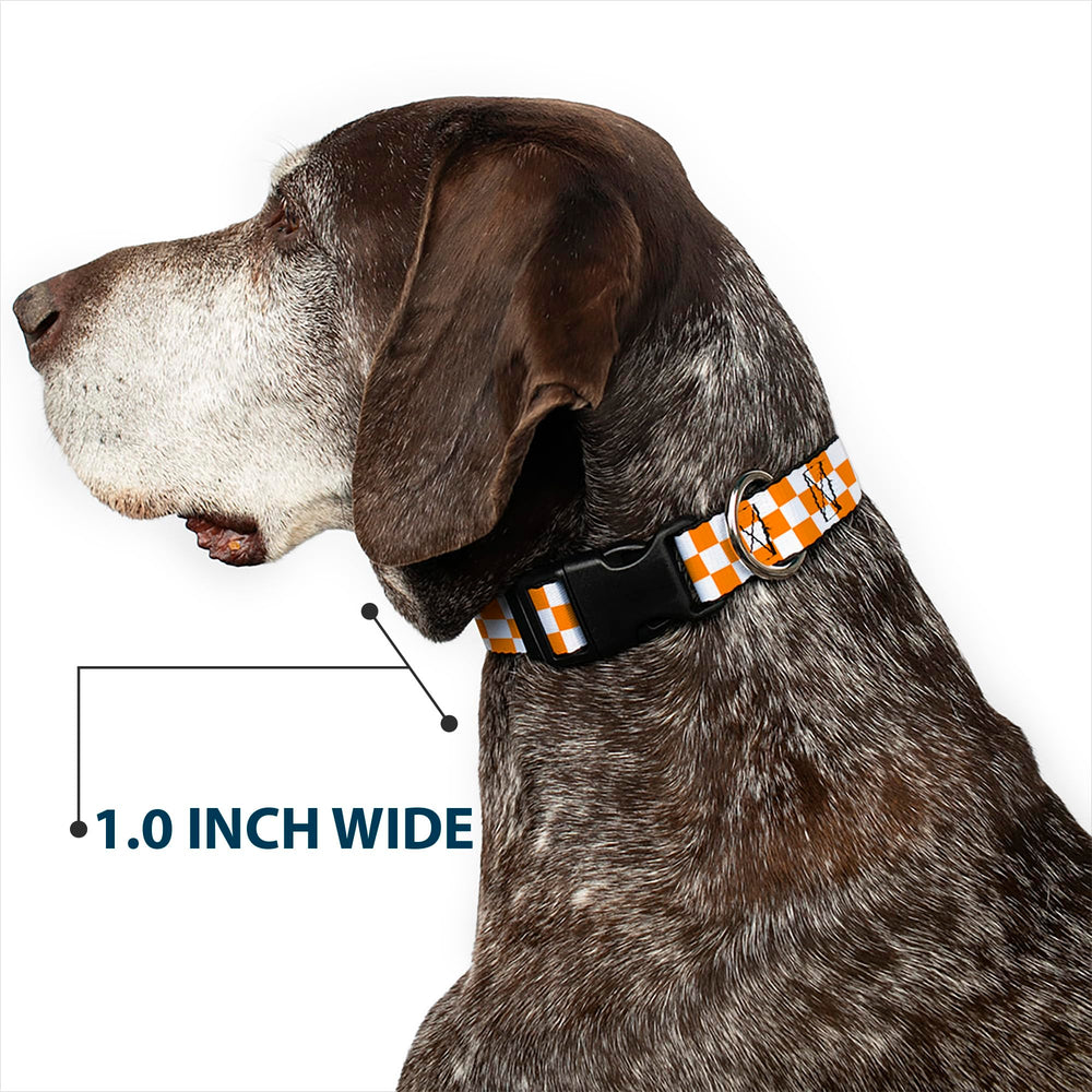 Buckle-Down collier porté sur chien pour démontrer ajustement et confort