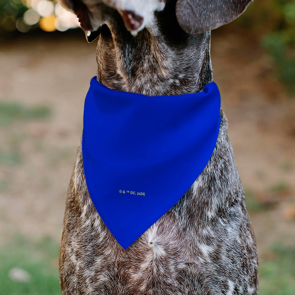 Buckle-Down comparaison de taille sur un chien de taille moyenne, ajustement clair