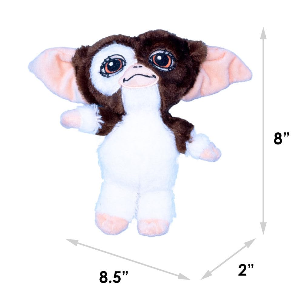 Buckle-Down Gizmo comparaison taille montre format pratique 20 cm