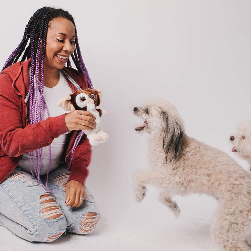Buckle-Down Gizmo chien joue avec jouet pour stimulation interactive