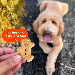 Buddy Biscuits biscuits dans la main du propriétaire facile à distribuer