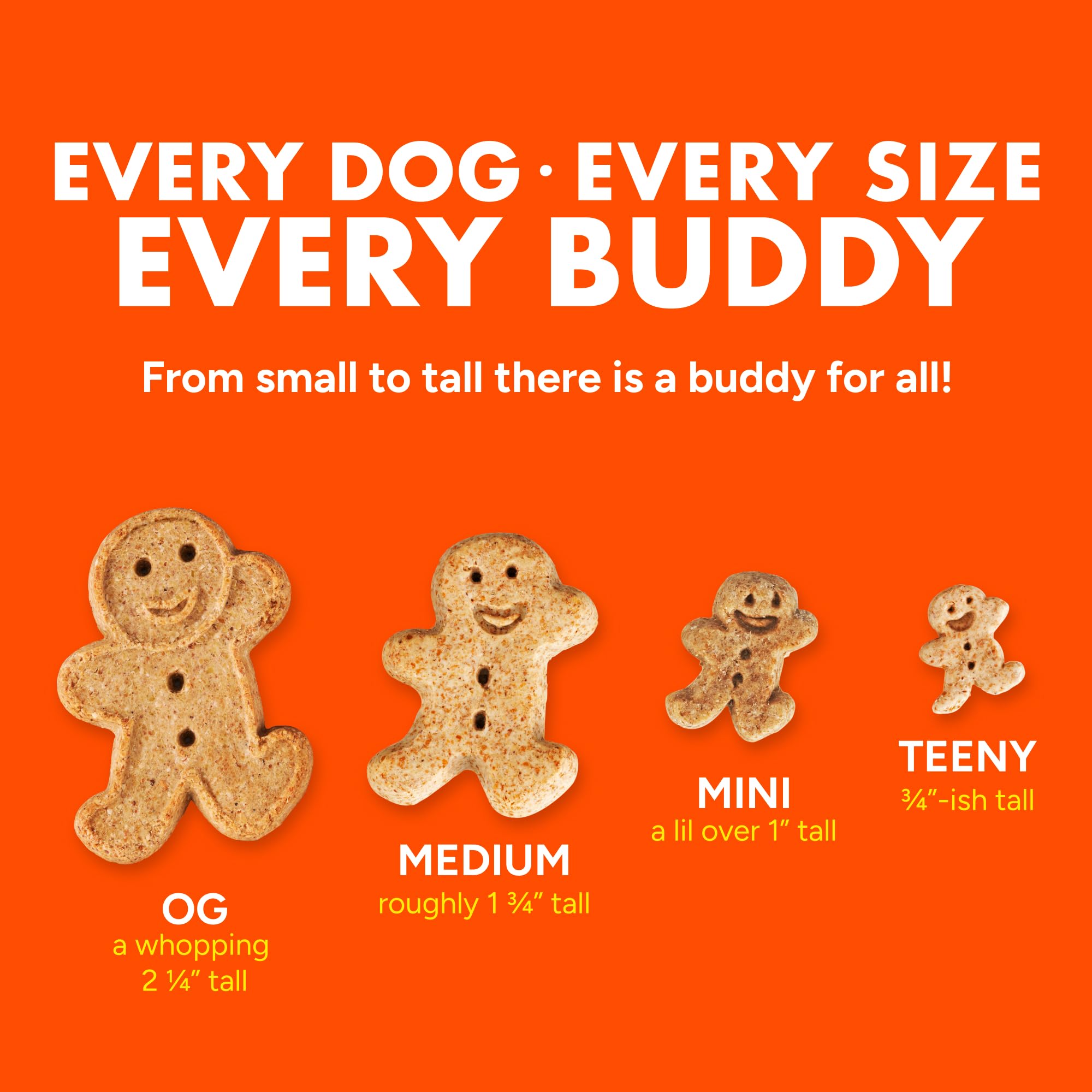 Buddy Biscuits ingrédients naturels affichés pour transparence et simplicité