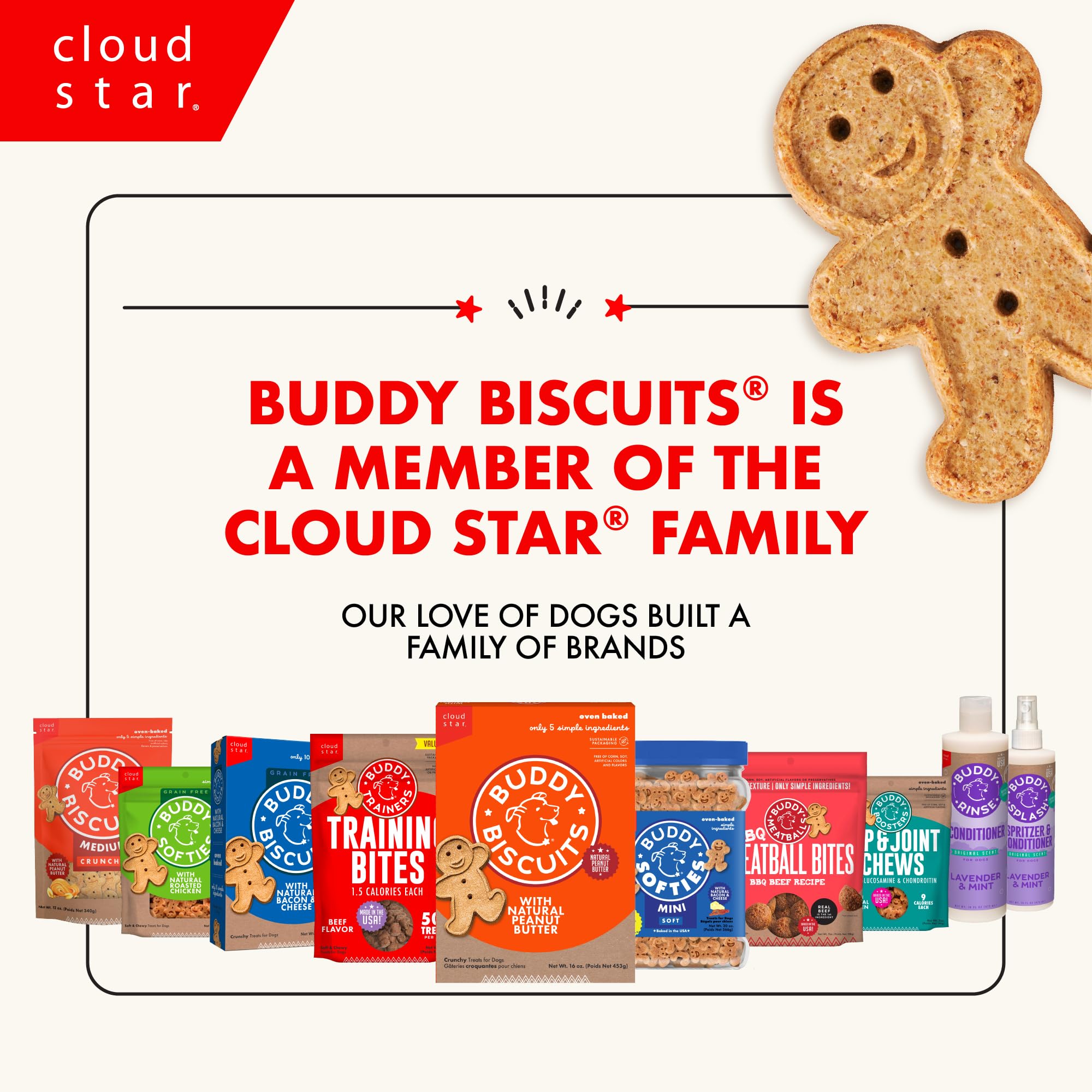 Buddy Biscuits table de cuisine style de vie moment de récompense quotidienne