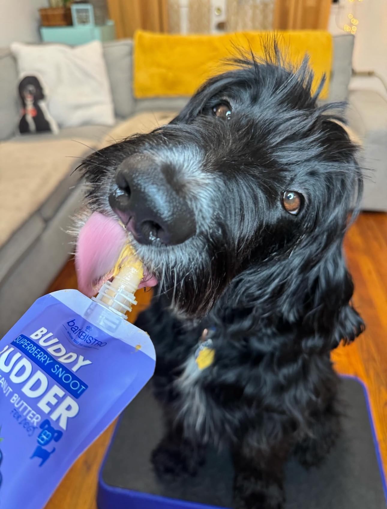 BUDDY BUDDER étiquette détaillant ingrédients de qualité et fabrication USA