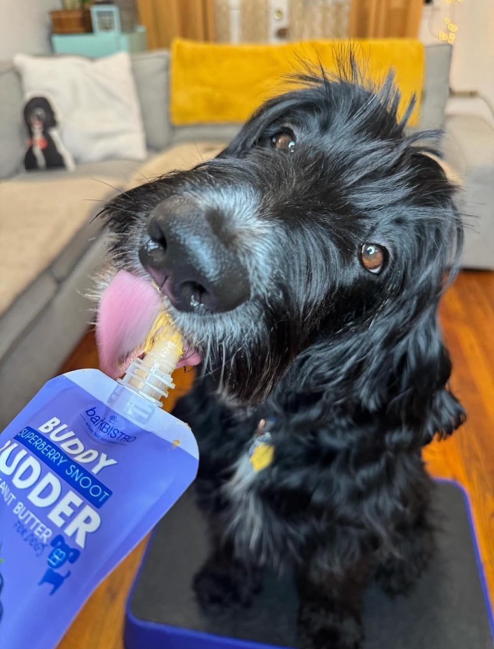 BUDDY BUDDER étiquette détaillant ingrédients de qualité et fabrication USA