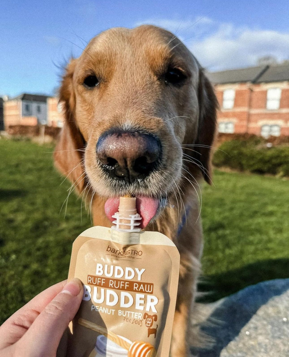 BUDDY BUDDER portion servie sur assiette pour contrôle des quantités