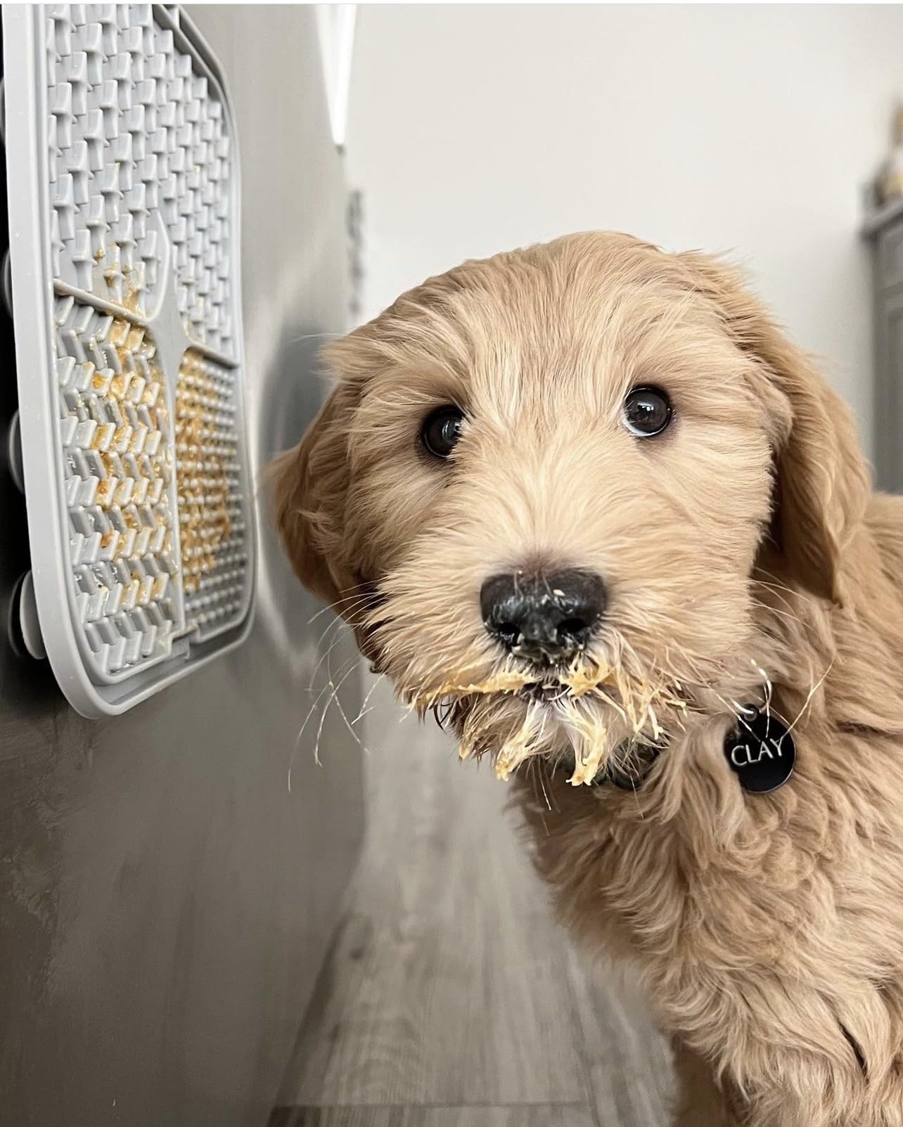 BUDDY BUDDER utilisation en randonnée pour récompense rapide et propre