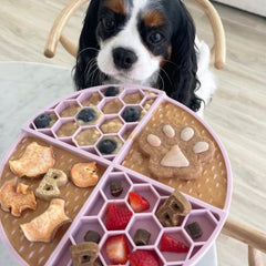 BUDDY BUDDER pot avec citrouille soulignant recette naturelle et saveur