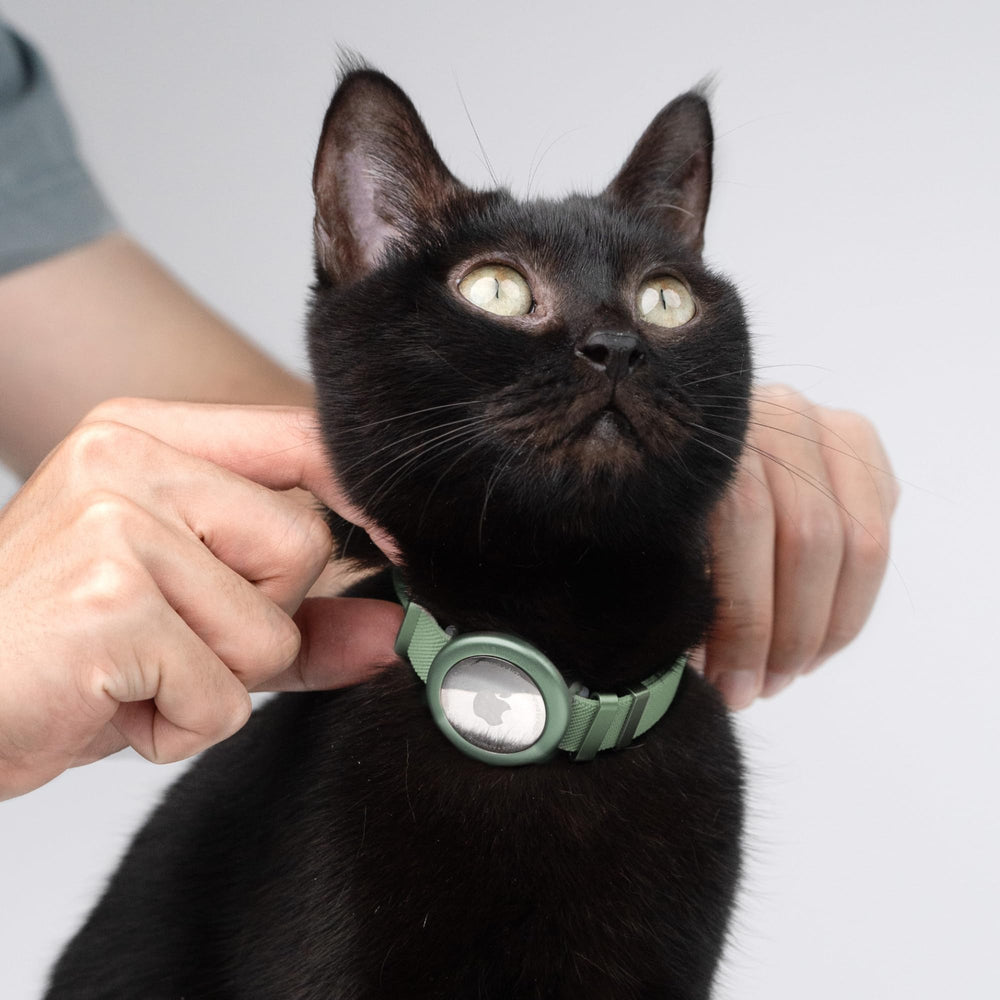 BuddyArmor collier olive dans intérieur, style discret et chic