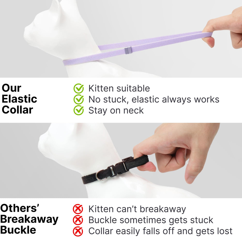 BuddyArmor collier porté par un chaton, léger et confortable