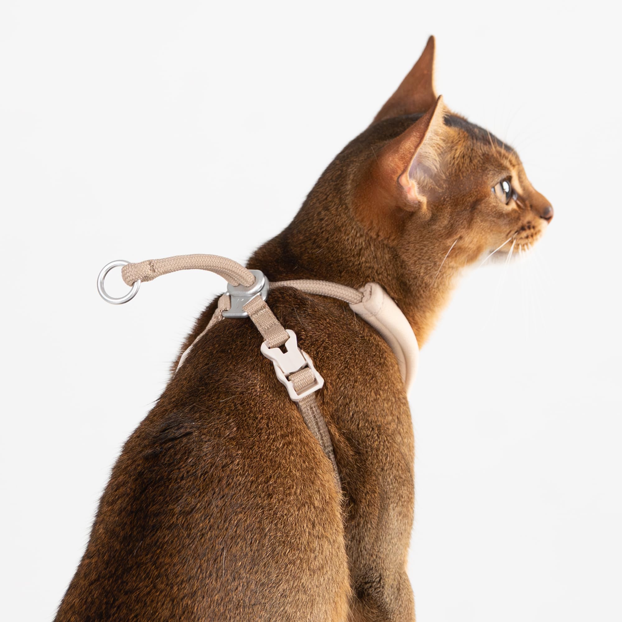 BuddyArmor comparaison taille montrant comment mesurer tour de poitrine