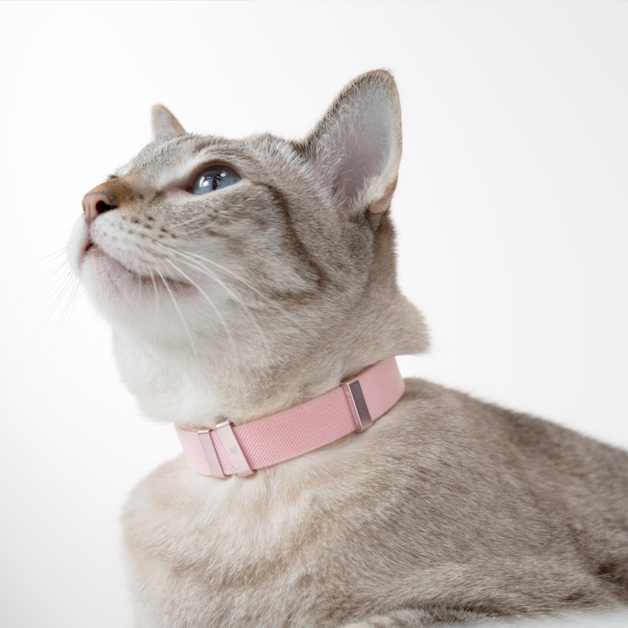 BuddyArmor fermeture et élasticité montrées en tension, sécurité