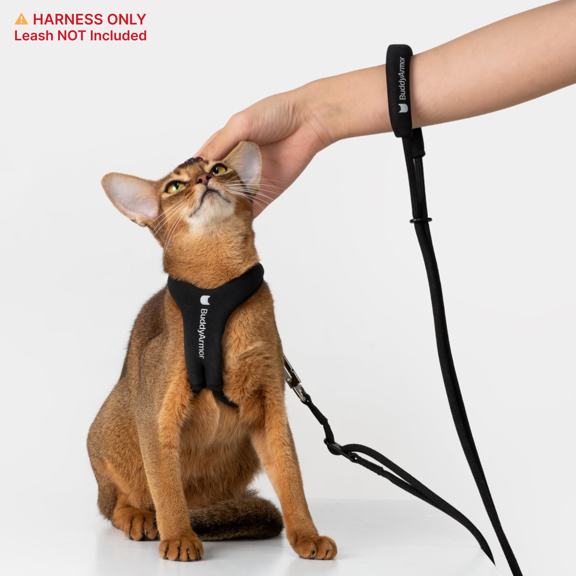 BuddyArmor harnais posé près d’une règle pour comparaison de taille